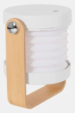 Bo-Camp Highbury Extendable Tafellamp