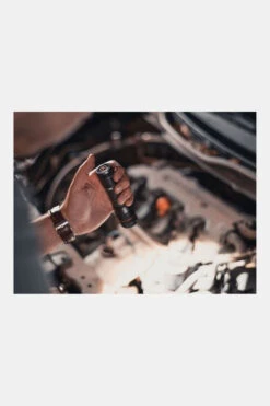 NEBO Newton 500 11 NEBO Newton 500 -Winkel Voor Outdoor-Avontuurartikelen mdace10007 7070 03 nl